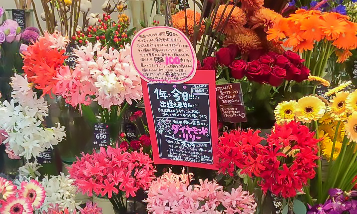 品揃えへのこだわり