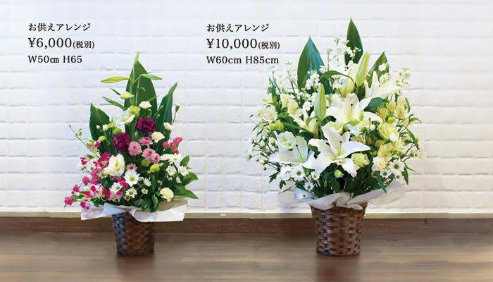 ラインナップ