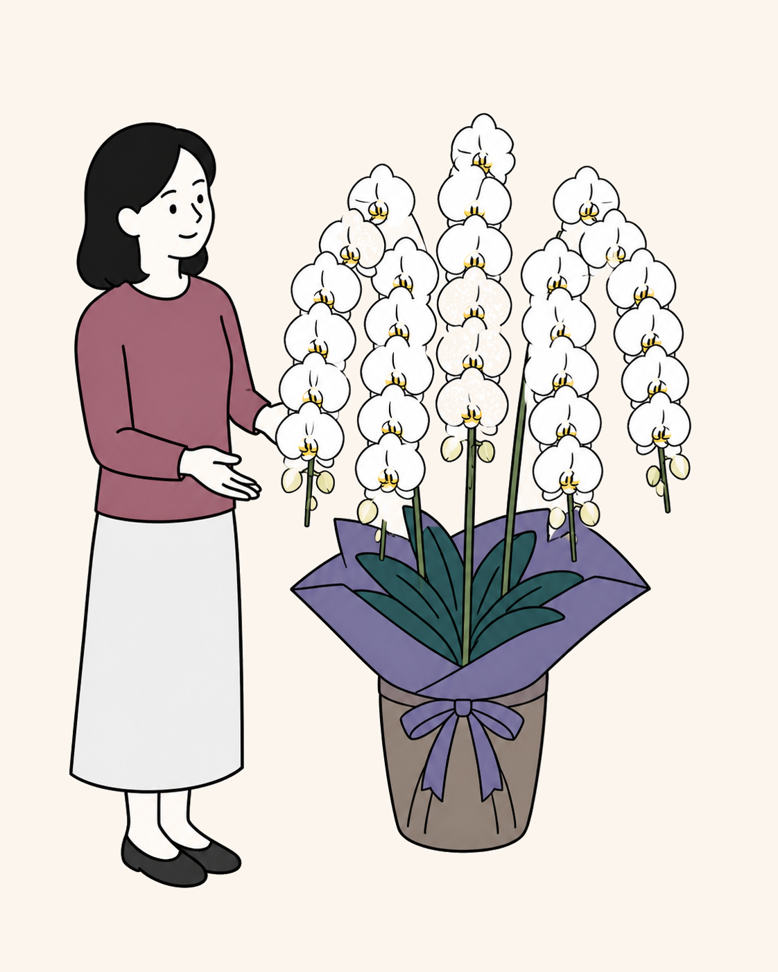 5本立ちの白い御祝い胡蝶蘭を案内する人物のイラスト