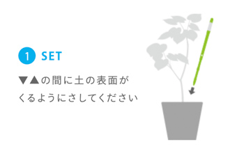 サスティーを鉢の土へ挿す手順