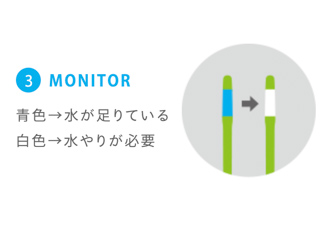 サスティーの色で水やり時期を確認する方法