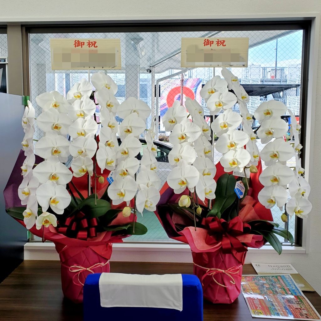 長野の花屋 ヌボー生花店 事例紹介 事例紹介 縁起の良い花言葉を持つ胡蝶蘭をお祝いに