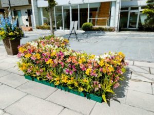 【事例紹介】善光寺花回廊のディスプレイ装飾