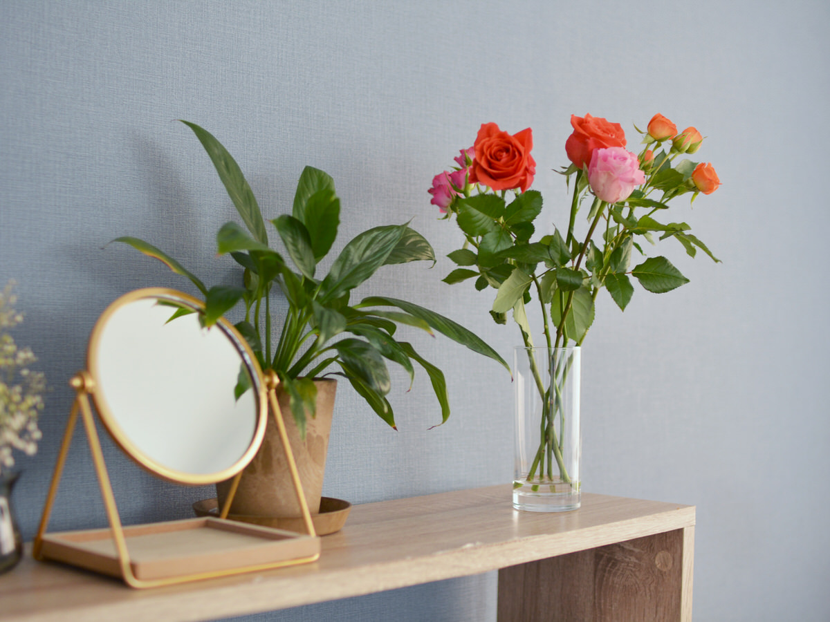 信州ドライフラワー専門店 エバフラ Everlasting Flowers 信州ドライフラワー専門店 エバフラ Everlasting Flowers