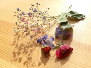 信州ドライフラワー専門店 エバフラ Everlasting Flowers