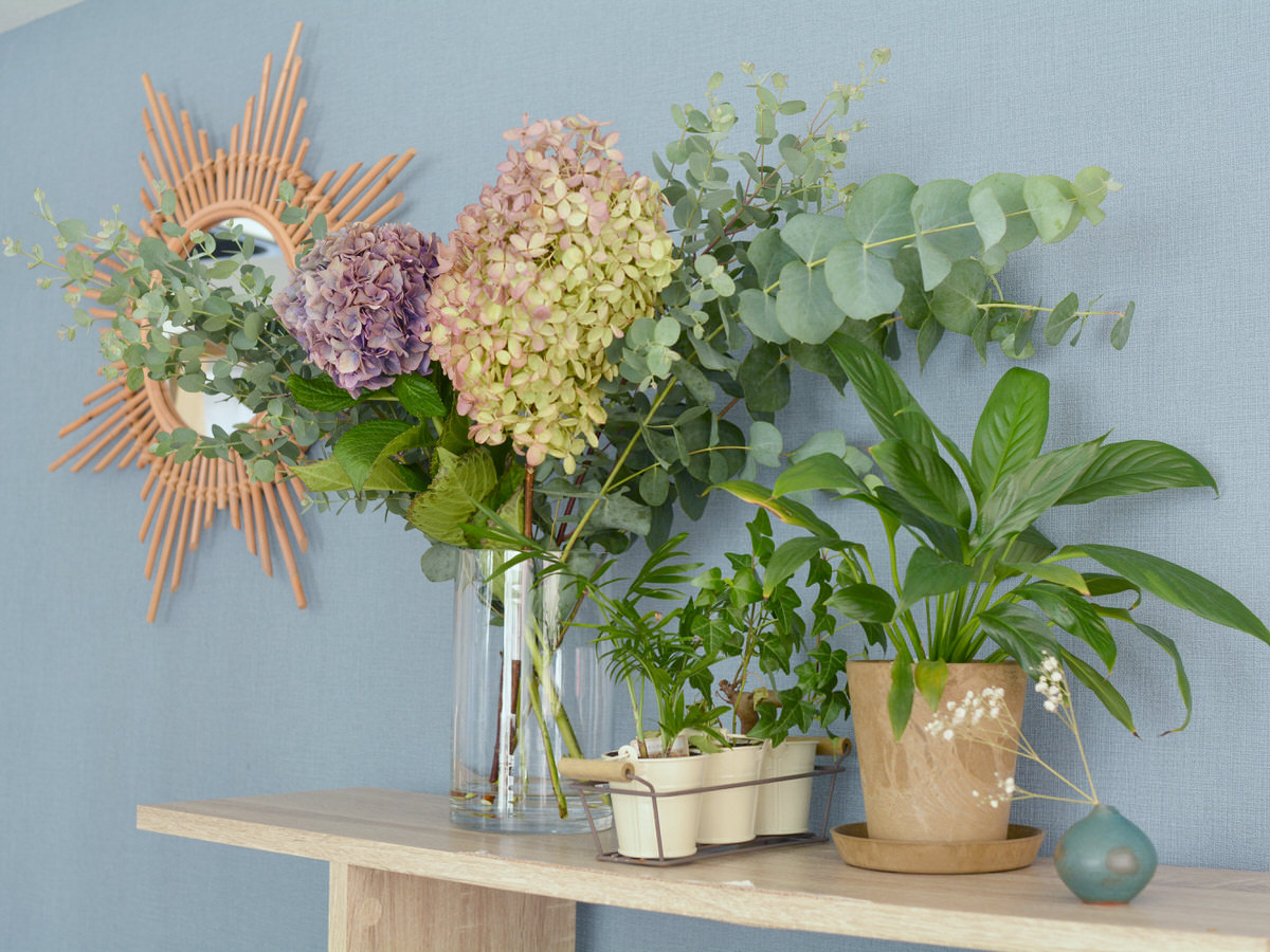 信州ドライフラワー専門店 エバフラ Everlasting Flowers 信州ドライフラワー専門店 エバフラ Everlasting Flowers