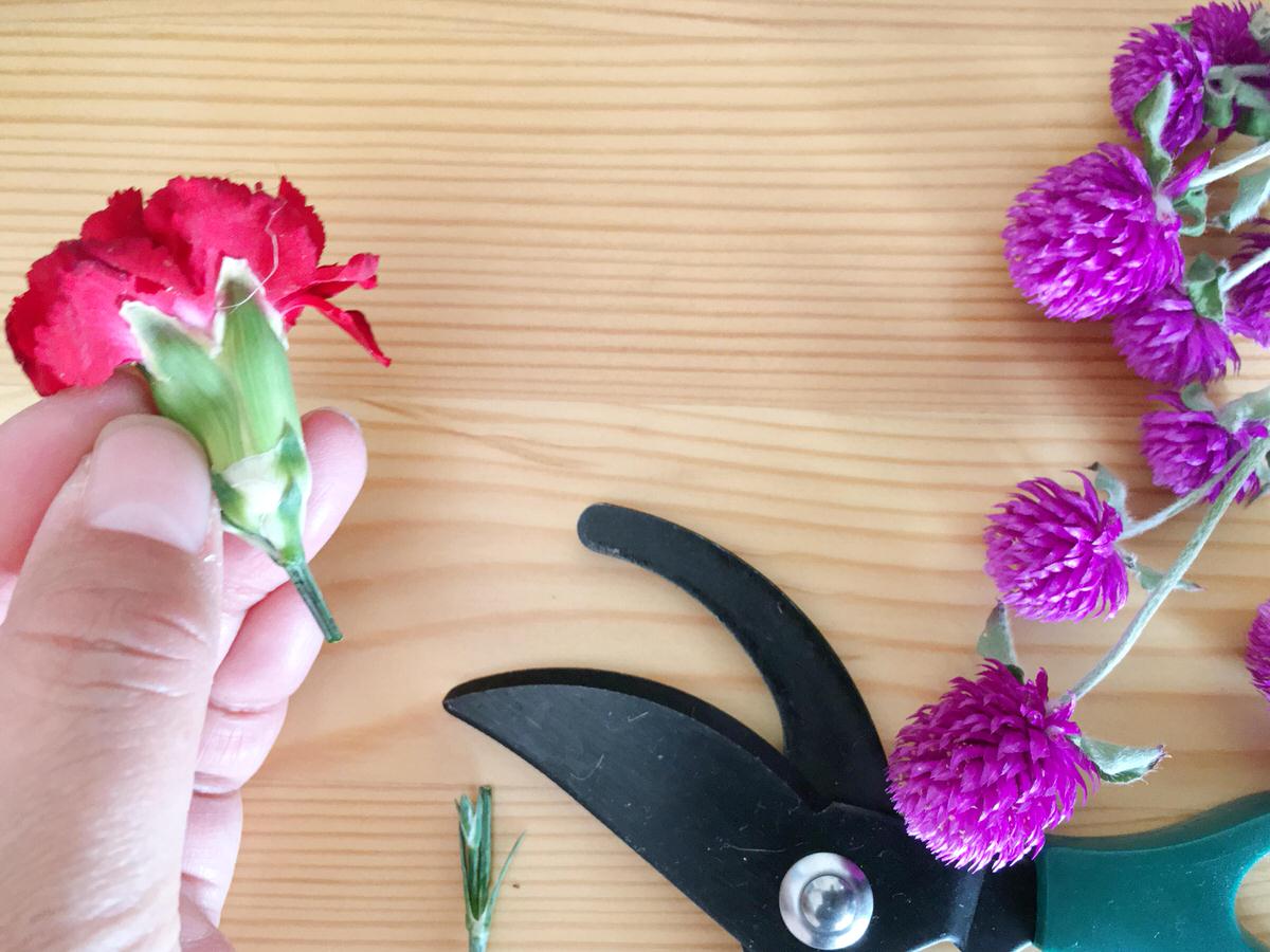 信州ドライフラワー専門店 エバフラ Everlasting Flowers