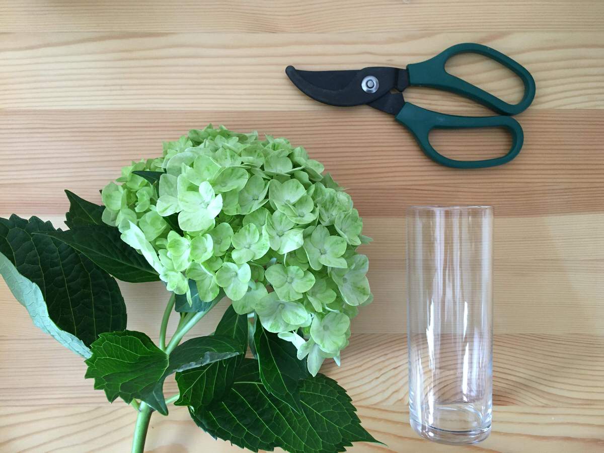 信州ドライフラワー専門店 エバフラ Everlasting Flowers