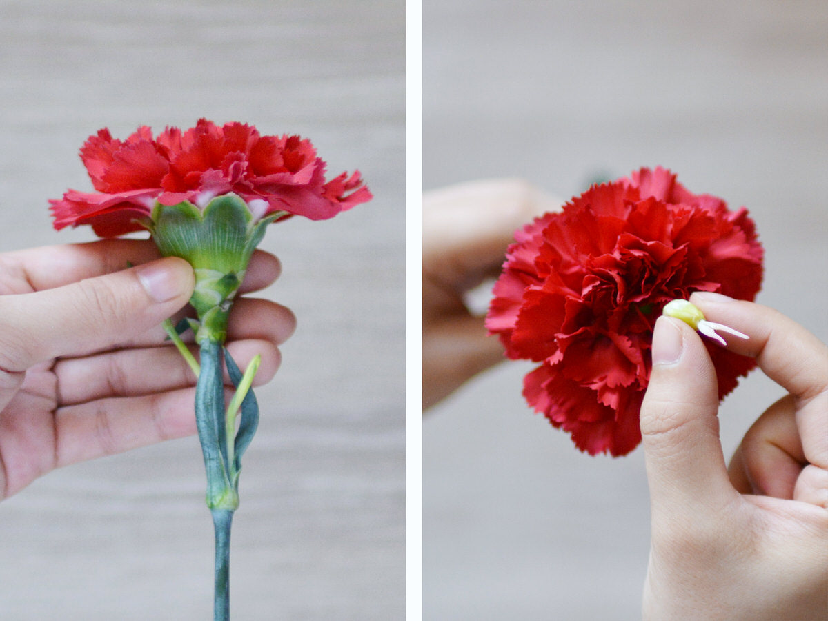 信州ドライフラワー専門店 エバフラ Everlasting Flowers