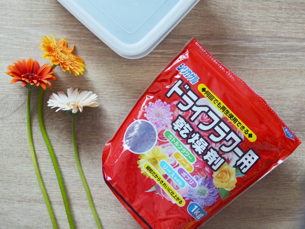 信州ドライフラワー専門店 エバフラ Everlasting Flowers