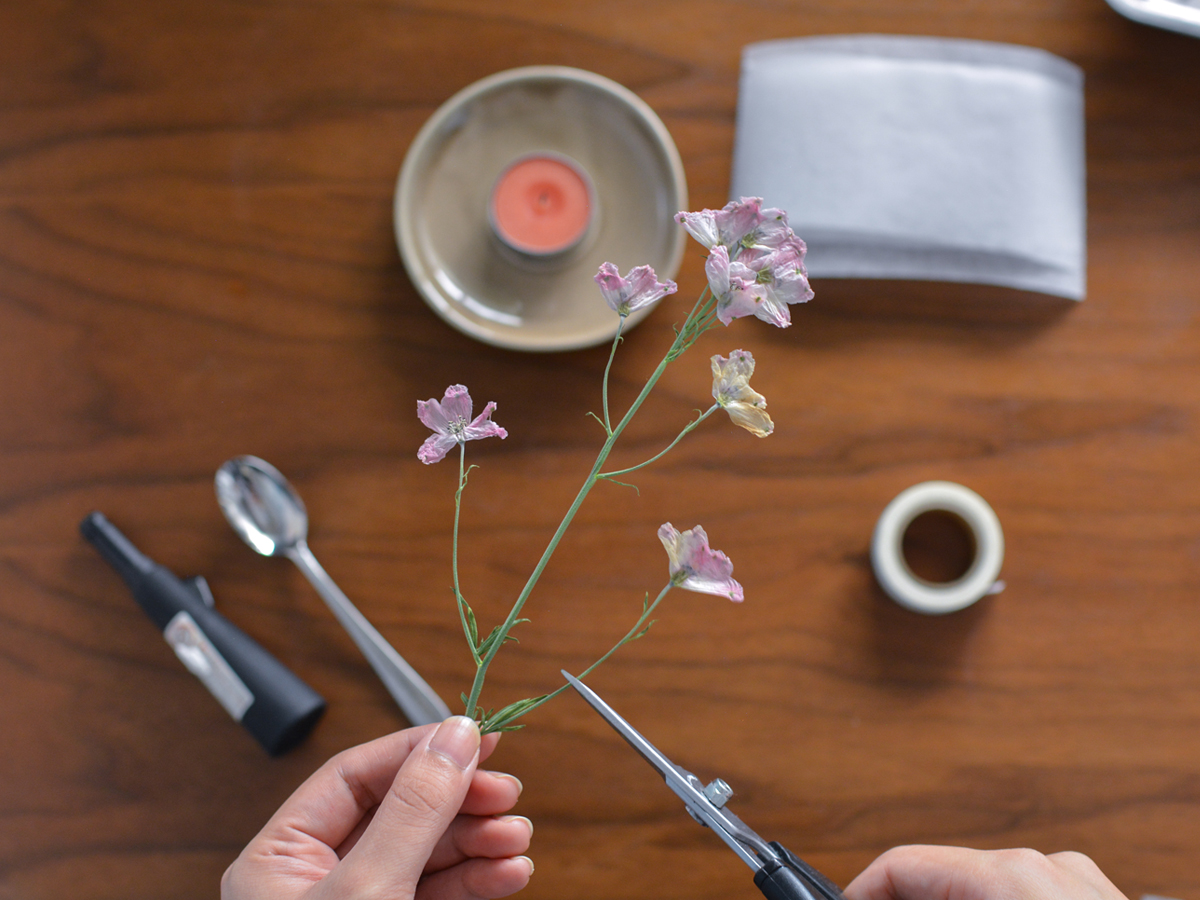 信州ドライフラワー専門店 エバフラ Everlasting Flowers