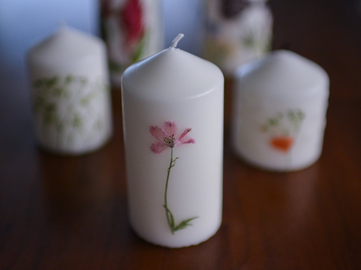 信州ドライフラワー専門店 エバフラ Everlasting Flowers