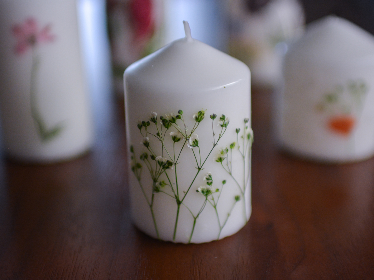 信州ドライフラワー専門店 エバフラ Everlasting Flowers