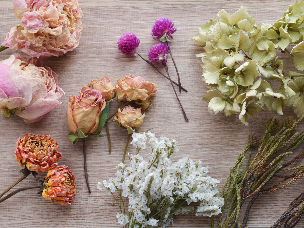 信州ドライフラワー専門店 エバフラ Everlasting Flowers